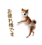 おむつわんこ♡柴犬＆黒柴（個別スタンプ：22）