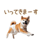 おむつわんこ♡柴犬＆黒柴（個別スタンプ：25）