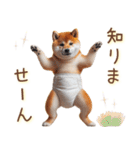 おむつわんこ♡柴犬＆黒柴（個別スタンプ：30）