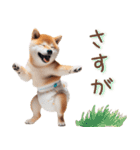 おむつわんこ♡柴犬＆黒柴（個別スタンプ：31）