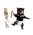 おむつわんこ♡柴犬＆黒柴（個別スタンプ：35）