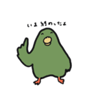 はっぴーインコ（個別スタンプ：3）