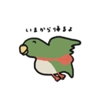 はっぴーインコ（個別スタンプ：7）