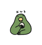 はっぴーインコ（個別スタンプ：9）