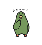 はっぴーインコ（個別スタンプ：11）