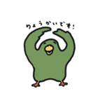 はっぴーインコ（個別スタンプ：12）