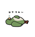 はっぴーインコ（個別スタンプ：21）