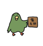 はっぴーインコ（個別スタンプ：25）