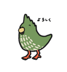 はっぴーインコ（個別スタンプ：32）