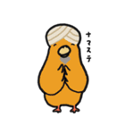 はっぴーインコ（個別スタンプ：33）