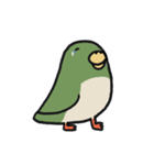 はっぴーインコ（個別スタンプ：34）