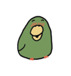 はっぴーインコ（個別スタンプ：37）