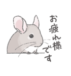 ちょいデフォチンチラスタンプ（シナモン）（個別スタンプ：1）
