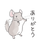 ちょいデフォチンチラスタンプ（シナモン）（個別スタンプ：7）