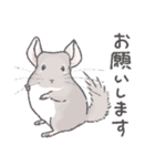 ちょいデフォチンチラスタンプ（シナモン）（個別スタンプ：10）