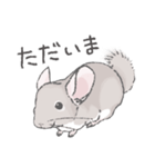 ちょいデフォチンチラスタンプ（シナモン）（個別スタンプ：14）