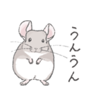 ちょいデフォチンチラスタンプ（シナモン）（個別スタンプ：15）