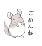ちょいデフォチンチラスタンプ（シナモン）（個別スタンプ：16）