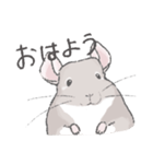 ちょいデフォチンチラスタンプ（シナモン）（個別スタンプ：17）