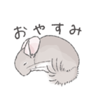 ちょいデフォチンチラスタンプ（シナモン）（個別スタンプ：18）