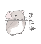ちょいデフォチンチラスタンプ（シナモン）（個別スタンプ：24）