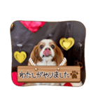 エル＆ピース002（個別スタンプ：3）