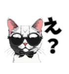 サングラス猫 最新版（個別スタンプ：7）