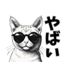 サングラス猫 最新版（個別スタンプ：12）