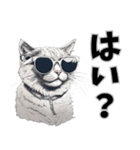 サングラス猫 最新版（個別スタンプ：13）