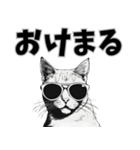サングラス猫 最新版（個別スタンプ：33）