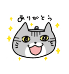 マグねこ（トラ）（個別スタンプ：9）