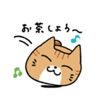 マグねこ（トラ）（個別スタンプ：37）