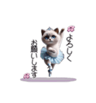 ラグドール子猫のバレリーナ（個別スタンプ：2）