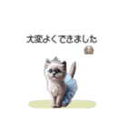 ラグドール子猫のバレリーナ（個別スタンプ：4）