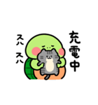 かめ日和×しましまこねこ（個別スタンプ：10）