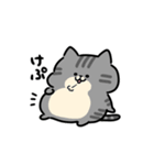 かめ日和×しましまこねこ（個別スタンプ：28）