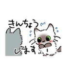 ねこやなぎ 春の妖精（個別スタンプ：15）