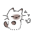 ねこやなぎ 春の妖精（個別スタンプ：26）