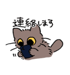 ねこやなぎ 春の妖精（個別スタンプ：28）