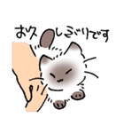 ねこやなぎ 春の妖精（個別スタンプ：38）