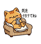 お助け猫「にゃすけ」家族連絡スタンプ（個別スタンプ：5）