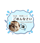 子どもが使えるスタンプ（個別スタンプ：2）