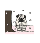 春のゴリパグ（個別スタンプ：1）