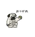 春のゴリパグ（個別スタンプ：38）