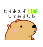 きゃぴばら【とりあえずLINE】（個別スタンプ：1）