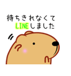 きゃぴばら【とりあえずLINE】（個別スタンプ：11）