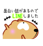 きゃぴばら【とりあえずLINE】（個別スタンプ：14）