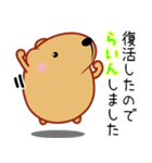 きゃぴばら【とりあえずLINE】（個別スタンプ：34）