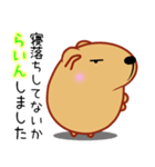 きゃぴばら【とりあえずLINE】（個別スタンプ：36）