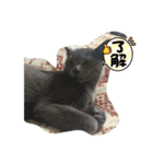 くまらいむかいみかん（個別スタンプ：6）